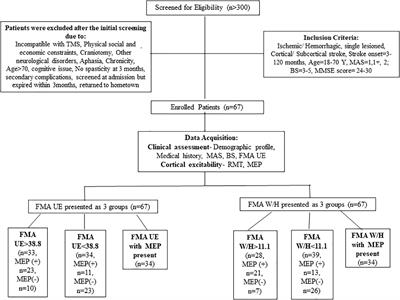 A novel perspective of associativity of upper limb motor impairment and cortical excitability in sub-acute and chronic stroke